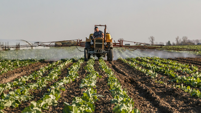 A base técnica do cultivo de cacau e guaraná analisada a partir de decisões que começam na terra com Alfredo Moreira Filho.