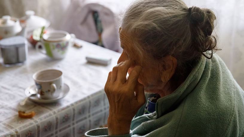 Sindnapi - Sindicato Nacional dos Aposentados, Pensionistas e Idosos